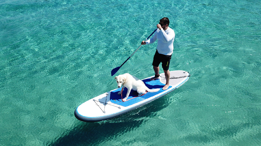 Important Things That People Never Tell You About Stand Up Paddle Boarding