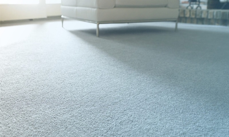 Design your floor with wall-to-wall carpets installation