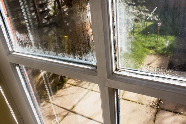 Top Signs You Need Replacement Windows Now